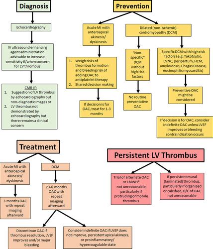 lv cad|Management Strategies for Patients with Left .